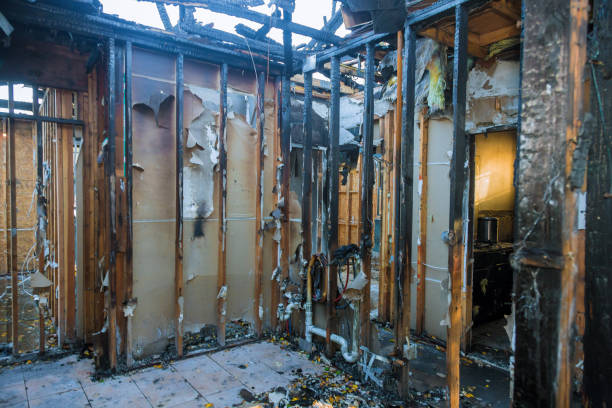 Professional Smoke Damage Removal technician working in Deer Park, OH
